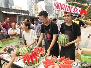 朝阳吃瓜群众,揭秘京城街头的热辣话题与趣味生活